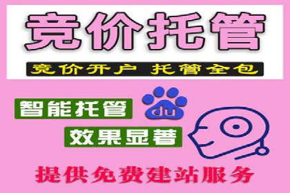 SEM专员必备技能与实战案例分享